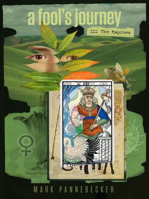 cover image of A Fool's Journey